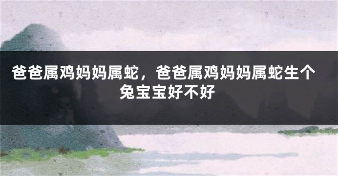 爸爸属鸡妈妈属蛇，爸爸属鸡妈妈属蛇生个兔宝宝好不好