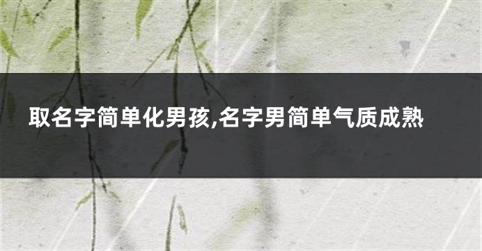 取名字简单化男孩,名字男简单气质成熟