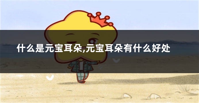 什么是元宝耳朵,元宝耳朵有什么好处