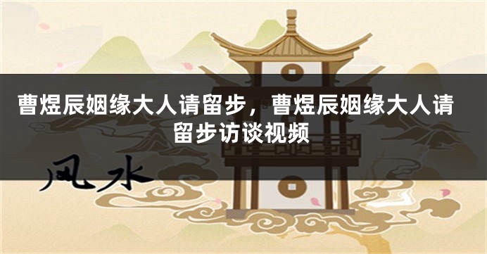 曹煜辰姻缘大人请留步，曹煜辰姻缘大人请留步访谈视频