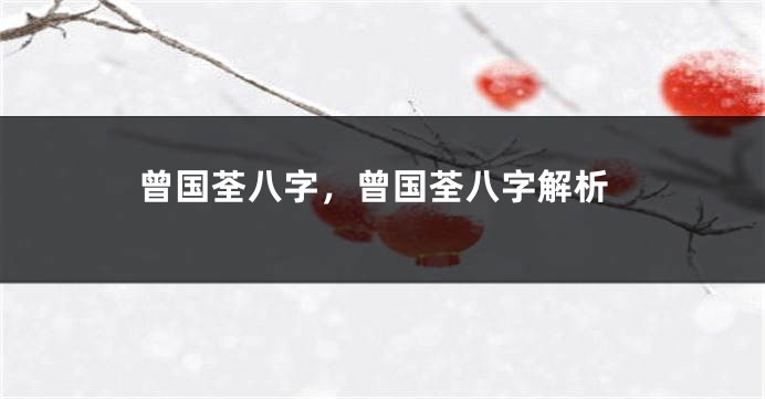曾国荃八字,曾国荃八字解析