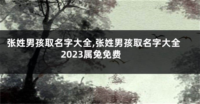 张姓男孩取名字大全,张姓男孩取名字大全2023属兔免费