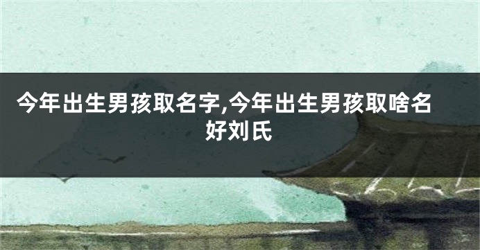 今年出生男孩取名字,今年出生男孩取啥名好刘氏