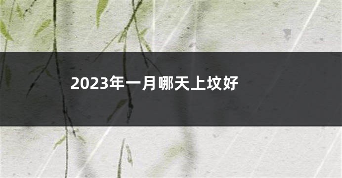 2023年一月哪天上坟好