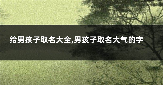 给男孩子取名大全,男孩子取名大气的字