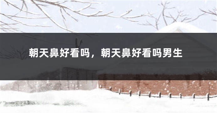 朝天鼻好看吗，朝天鼻好看吗男生