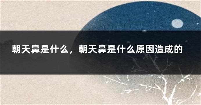 朝天鼻是什么，朝天鼻是什么原因造成的