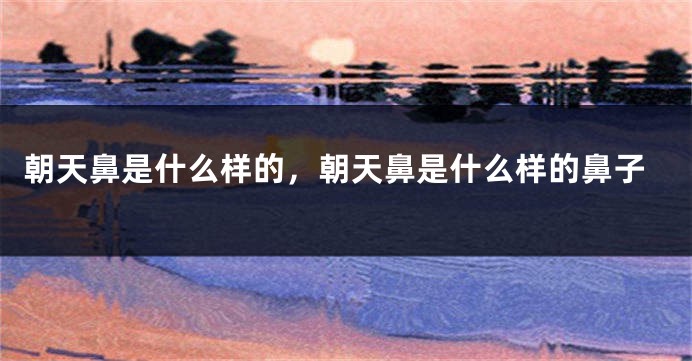 朝天鼻是什么样的，朝天鼻是什么样的鼻子