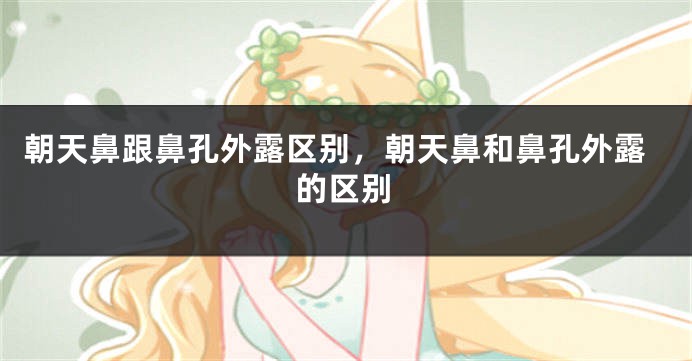 朝天鼻跟鼻孔外露区别，朝天鼻和鼻孔外露的区别