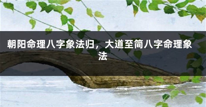 朝阳命理八字象法归，大道至简八字命理象法