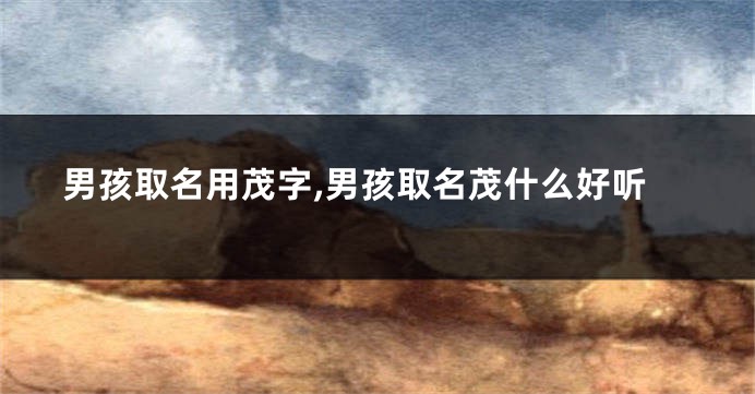 男孩取名用茂字,男孩取名茂什么好听