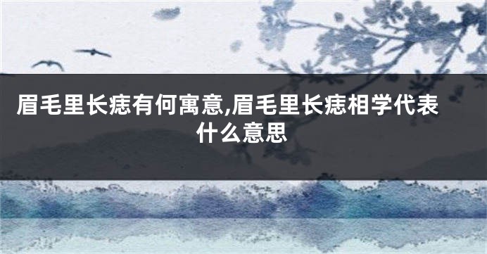 眉毛里长痣有何寓意,眉毛里长痣相学代表什么意思