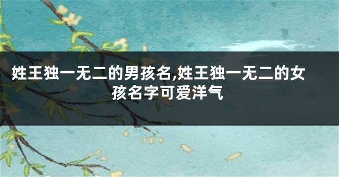 姓王独一无二的男孩名,姓王独一无二的女孩名字可爱洋气