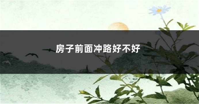 房子前面冲路好不好