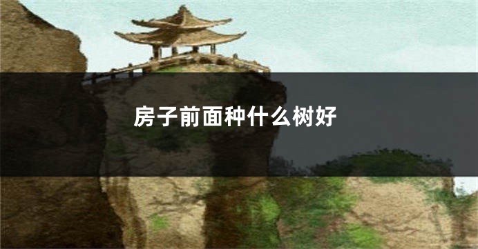 房子前面种什么树好