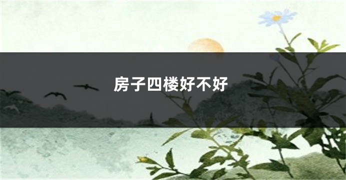 房子四楼好不好
