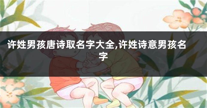 许姓男孩唐诗取名字大全,许姓诗意男孩名字