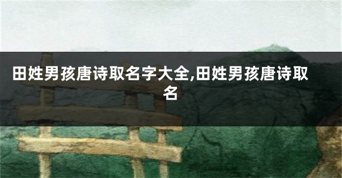 田姓男孩唐诗取名字大全,田姓男孩唐诗取名