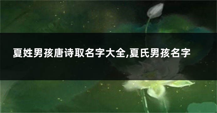 夏姓男孩唐诗取名字大全,夏氏男孩名字