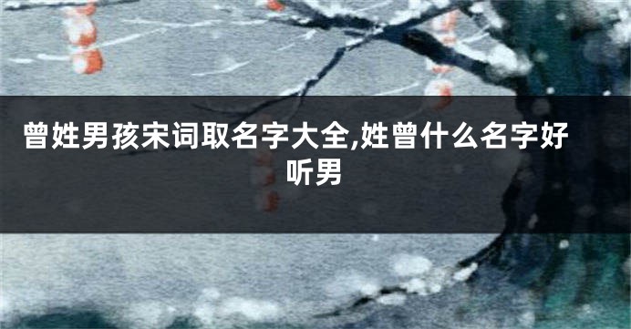 曾姓男孩宋词取名字大全,姓曾什么名字好听男