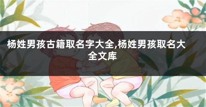 杨姓男孩古籍取名字大全,杨姓男孩取名大全文库