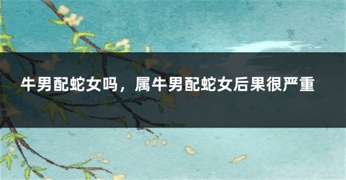 牛男配蛇女吗，属牛男配蛇女后果很严重
