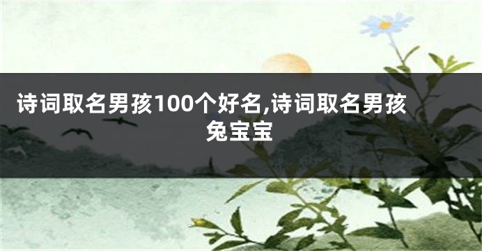 诗词取名男孩100个好名,诗词取名男孩兔宝宝