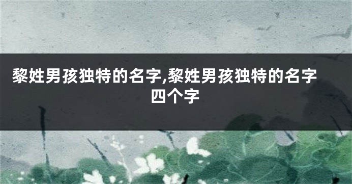 黎姓男孩独特的名字,黎姓男孩独特的名字四个字