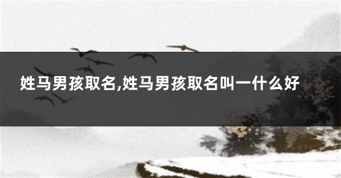 姓马男孩取名,姓马男孩取名叫一什么好