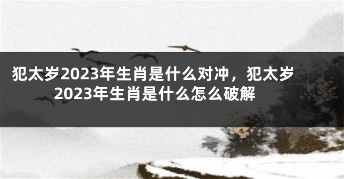 犯太岁2023年生肖是什么对冲，犯太岁2023年生肖是什么怎么破解