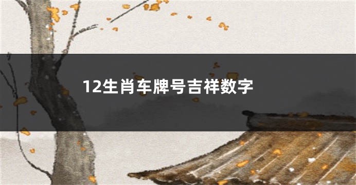 12生肖车牌号吉祥数字