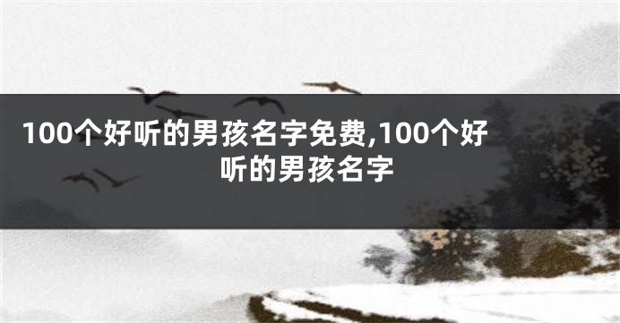 100个好听的男孩名字免费,100个好听的男孩名字
