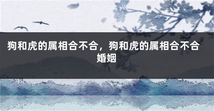 狗和虎的属相合不合，狗和虎的属相合不合婚姻