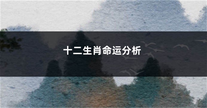 十二生肖命运分析
