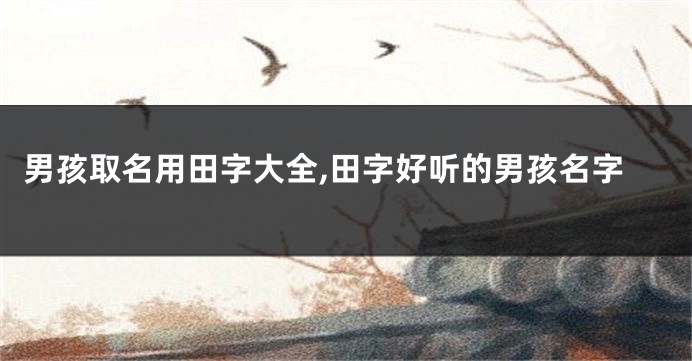 男孩取名用田字大全,田字好听的男孩名字