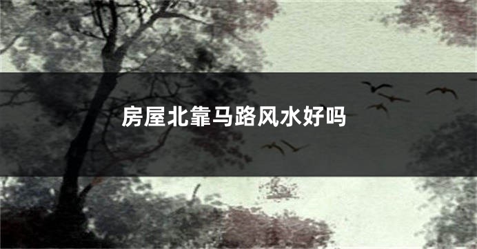 房屋北靠马路风水好吗