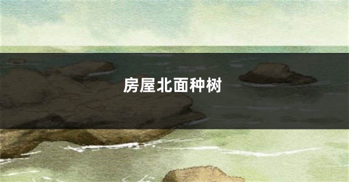 房屋北面种树