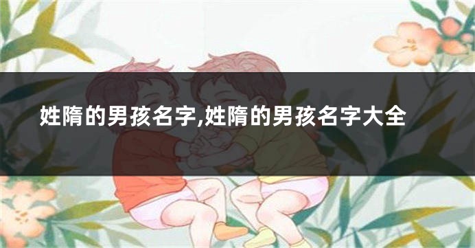 姓隋的男孩名字,姓隋的男孩名字大全