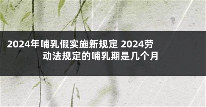 2024年哺乳假实施新规定 2024劳动法规定的哺乳期是几个月