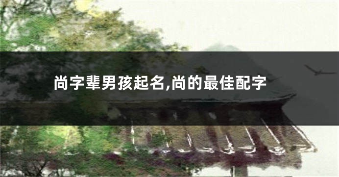 尚字辈男孩起名,尚的最佳配字