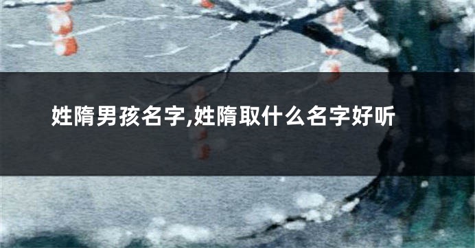 姓隋男孩名字,姓隋取什么名字好听