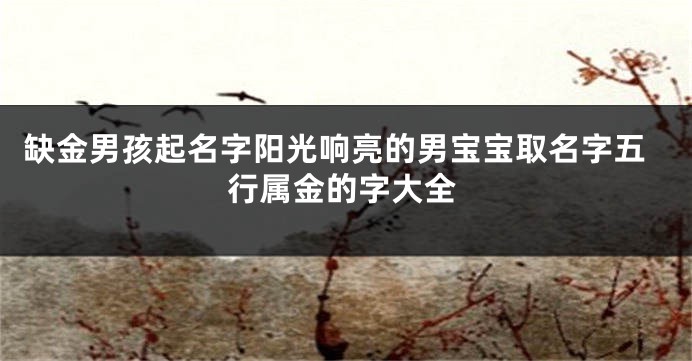 缺金男孩起名字阳光响亮的男宝宝取名字五行属金的字大全