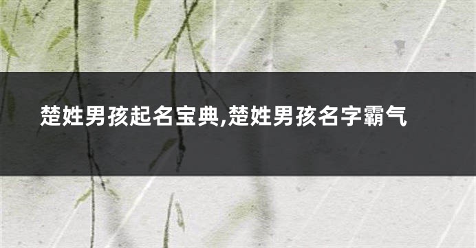 楚姓男孩起名宝典,楚姓男孩名字霸气