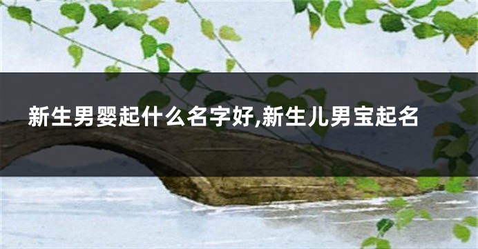 新生男婴起什么名字好,新生儿男宝起名
