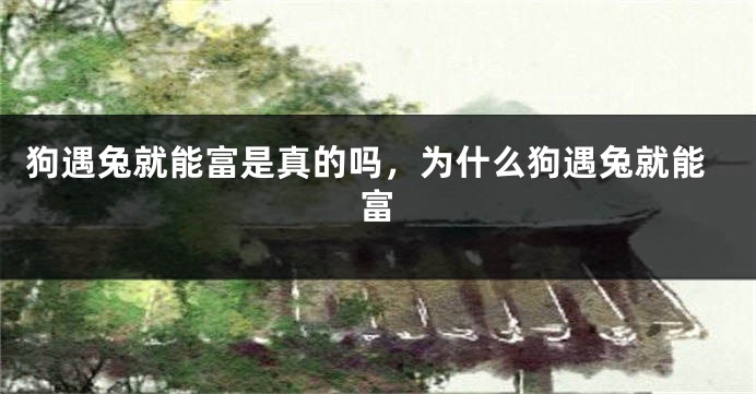 狗遇兔就能富是真的吗，为什么狗遇兔就能富