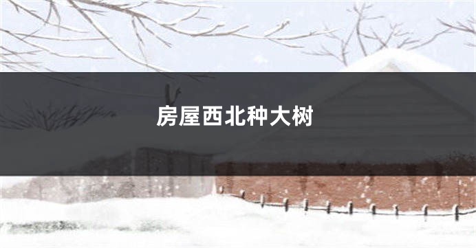 房屋西北种大树