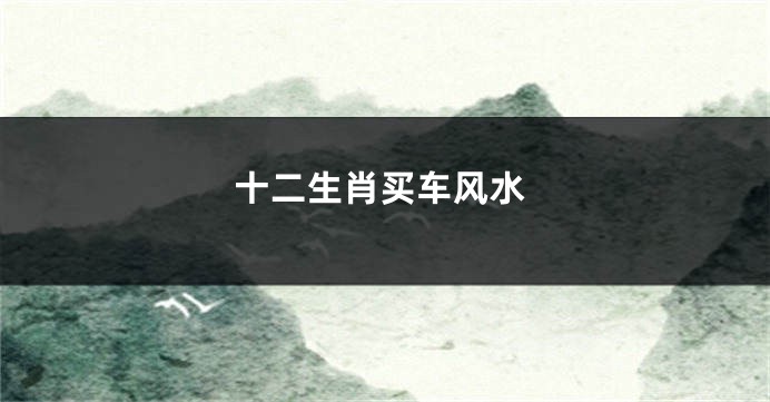 十二生肖买车风水