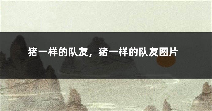 猪一样的队友,猪一样的队友图片