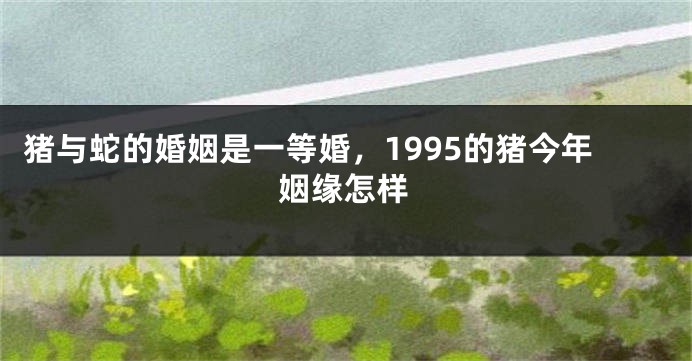 猪与蛇的婚姻是一等婚，1995的猪今年姻缘怎样
