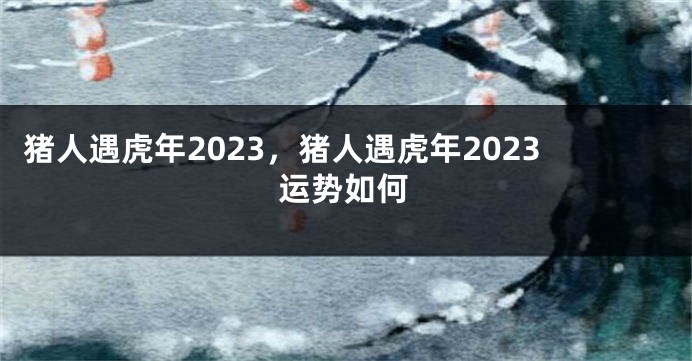 猪人遇虎年2023，猪人遇虎年2023运势如何